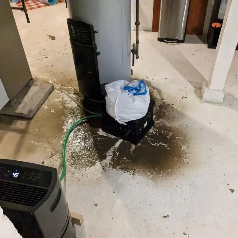 Sewage Backup Cleanup Service in Appleton City, MO